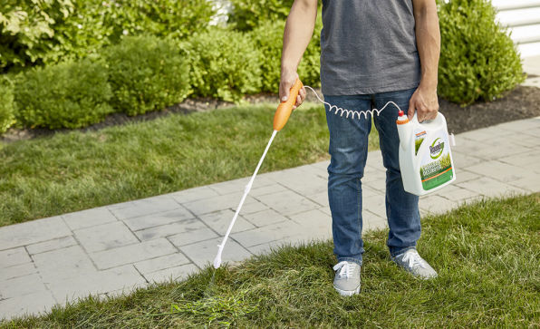 Weedkilling Service