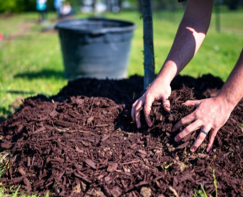 Mulching